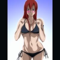 Erza Scarlet Threesome at the Beach